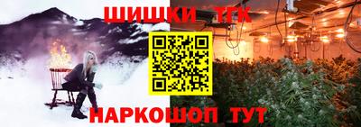 СК Надым