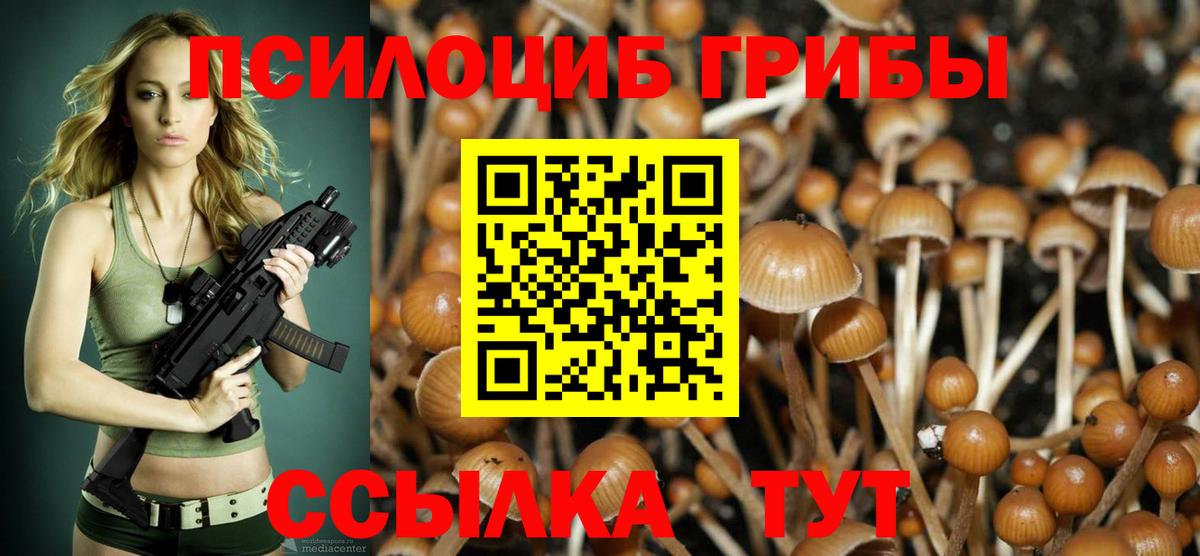 Галлюциногенные грибы MAGIC MUSHROOMS Асино