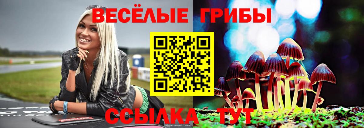Псилоцибиновые грибы Magic Shrooms  Галлюциногенные грибы прущие грибы  Вход с VPN  Асино 