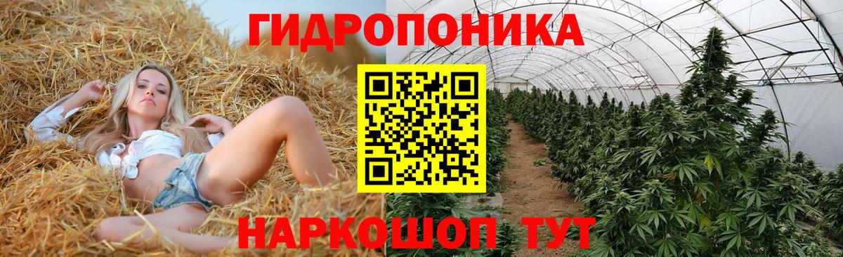 МАРИХУАНА гибрид  Шишки марихуана VHQ  МАРИХУАНА VHQ  Асино  Вход с VPN 